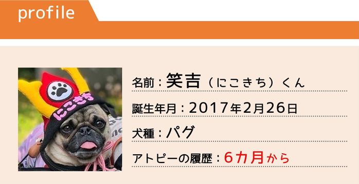 パグの笑吉くん