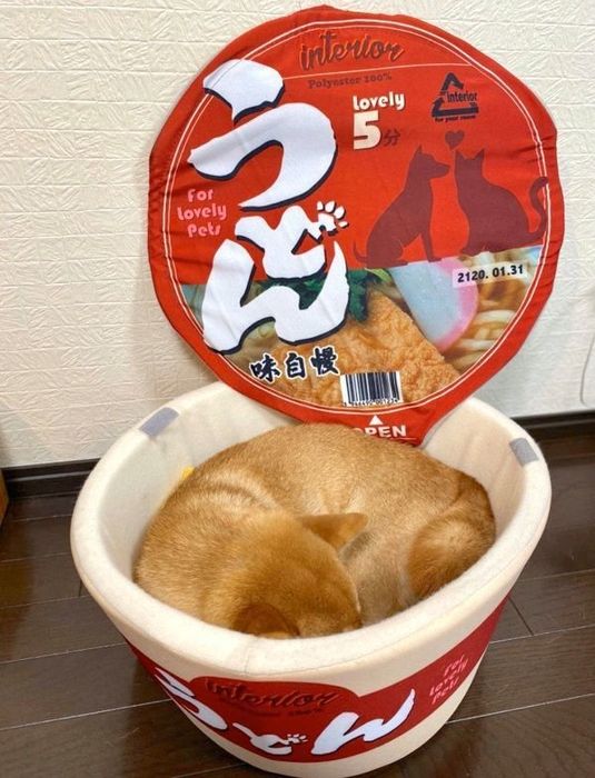 きつねうどんの「おあげ」のようになったゆきちゃん