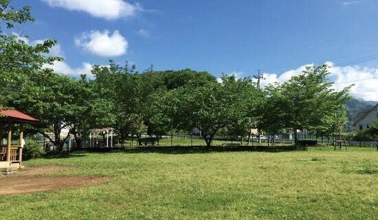 緑に包まれた広大なドッグラン