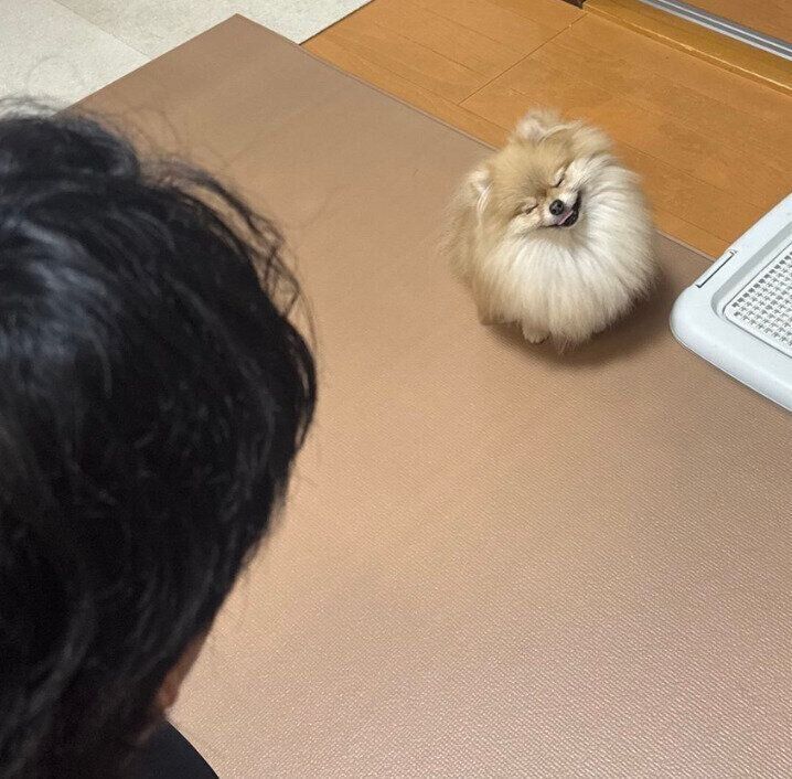 笑顔を見せるなごみちゃん