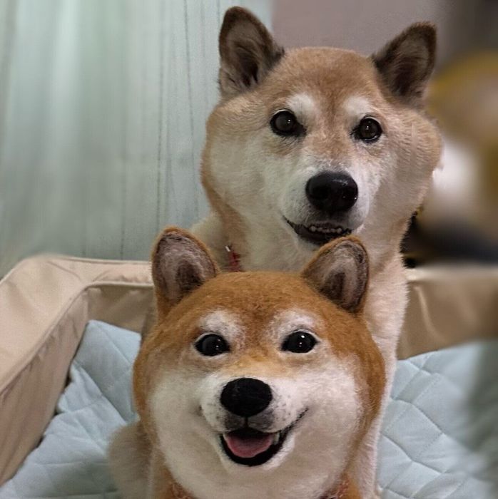 羊毛フェルトの柴犬とぱんくん