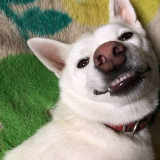 こちらも良い表情