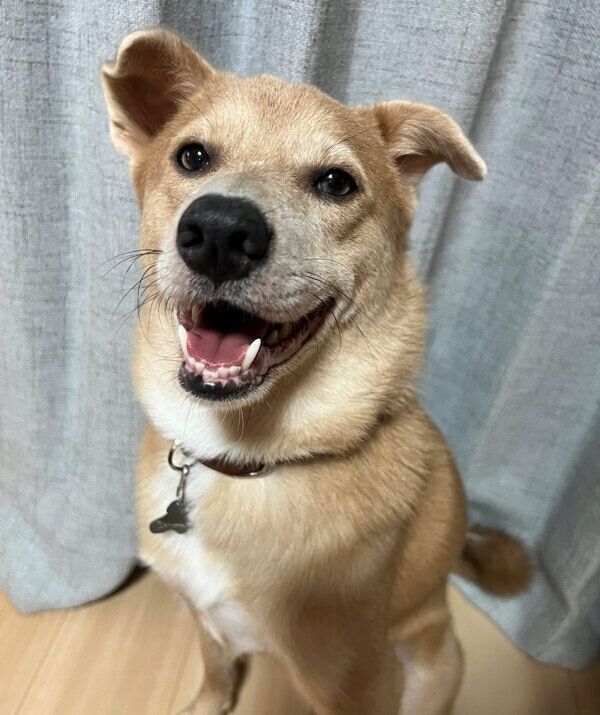 笑顔が可愛いあさぎちゃん