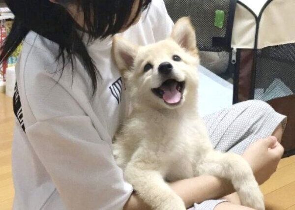 家族になった日のつるちゃん