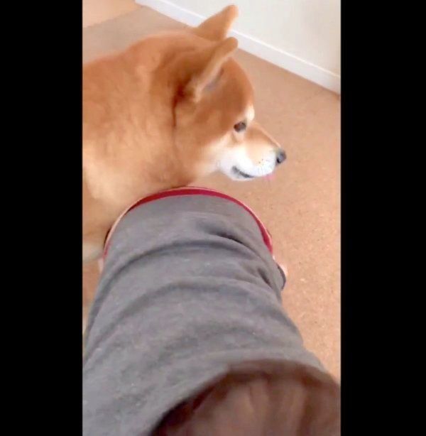 残念そうな表情を見せるこたろうくん