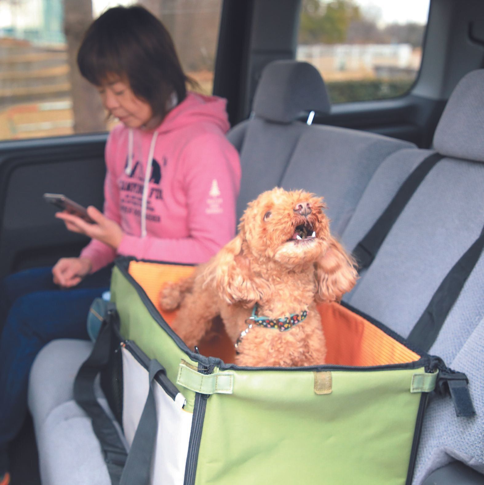 停車後、吠えやむまでは飼い主さんも降りずに無視。吠えやんでから10分で降りるときもあれば、20分待つ場合もつくり、愛犬に「〇分待てば降りられる」と思わせないようにします