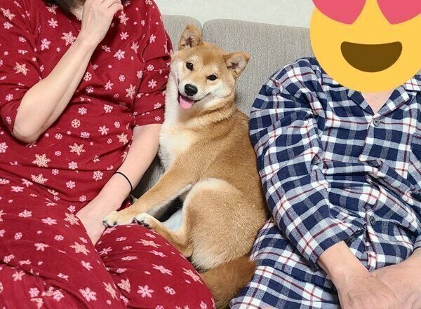 ご家族に甘える麦くん