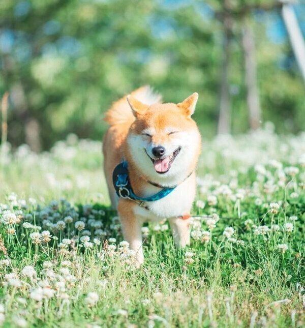 笑顔の八朔くん