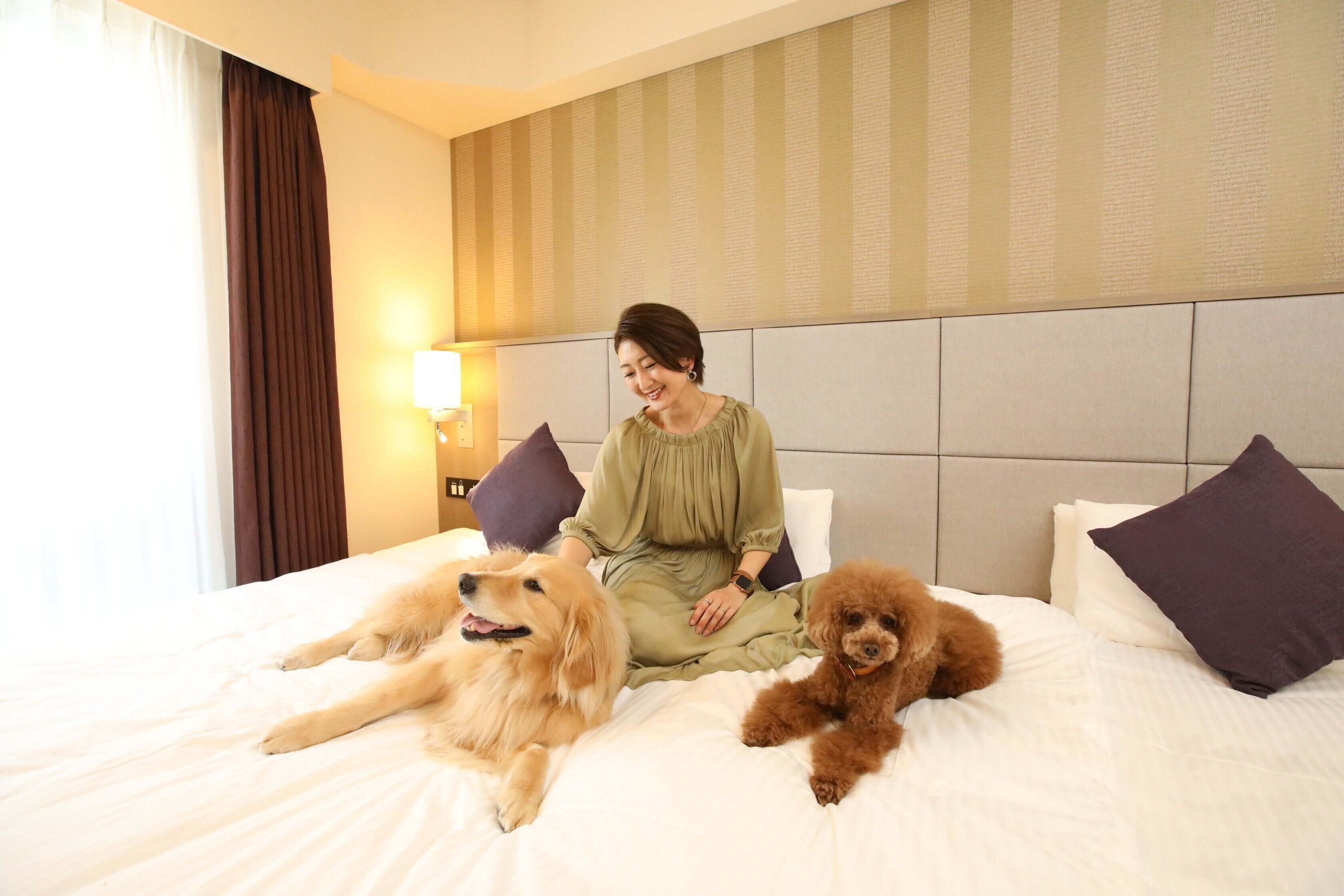 ベッドの上でくつろぐゴールデンレトリバーとトイプードル