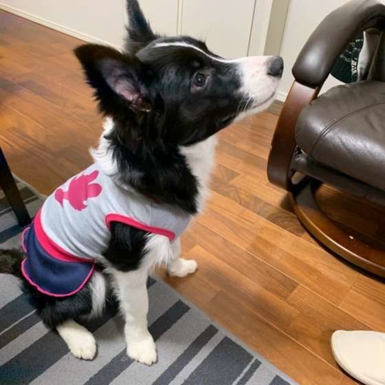 オシャレなルカちゃん