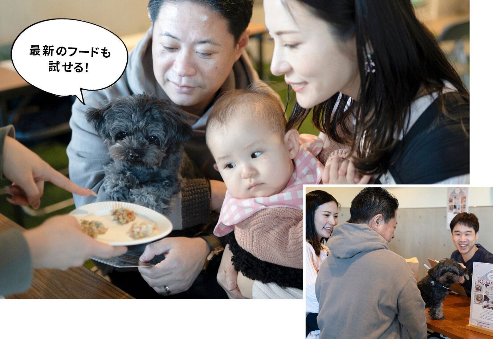 フジタ　大和リビング　リーラ横浜川和町　月次健診　犬猫合わせて4頭　マンション　賃貸マンション　ペット共生型マンション　いぬのきもち　いぬ　フレッシュフード