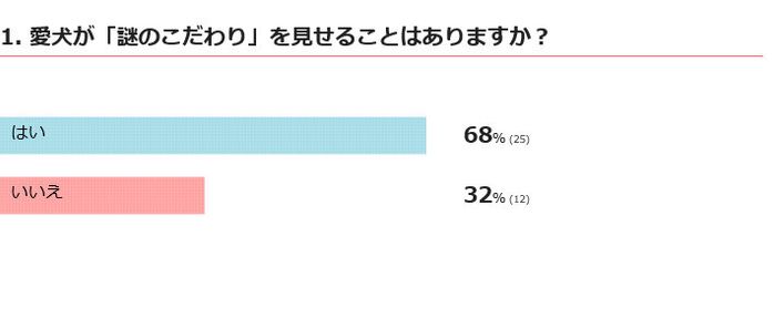 愛犬が謎のこだわりを見せることはある?