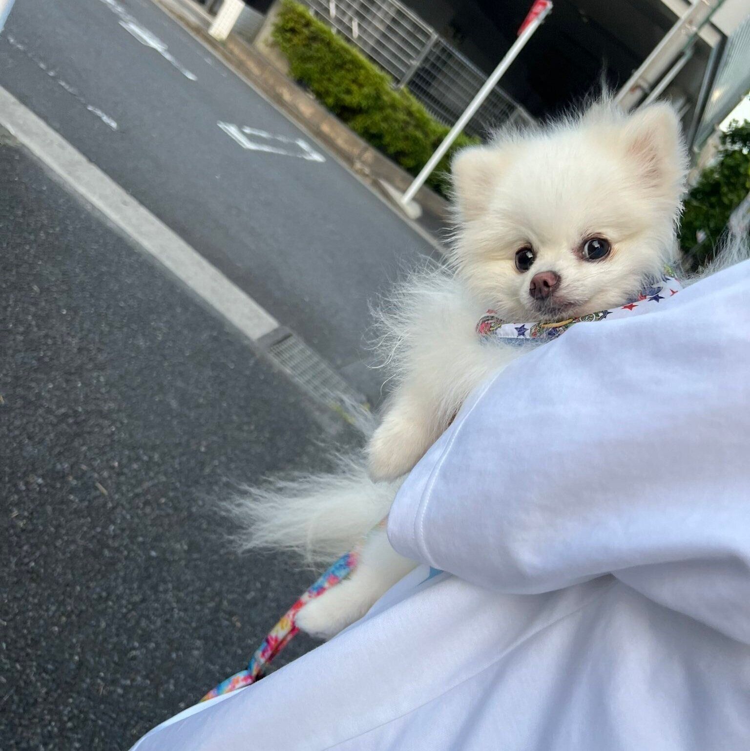 別の日の太郎くん