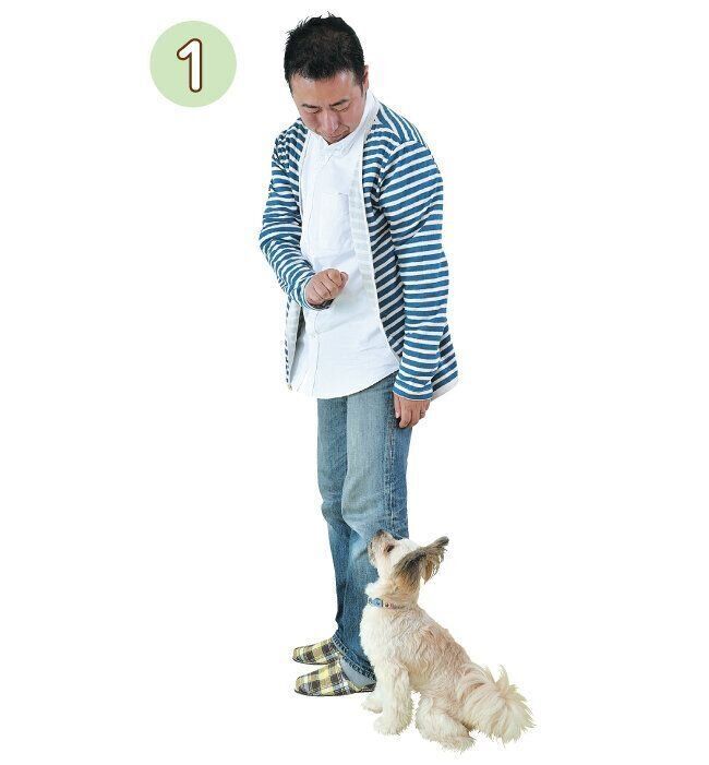 おやつを使ってオスワリをさせる