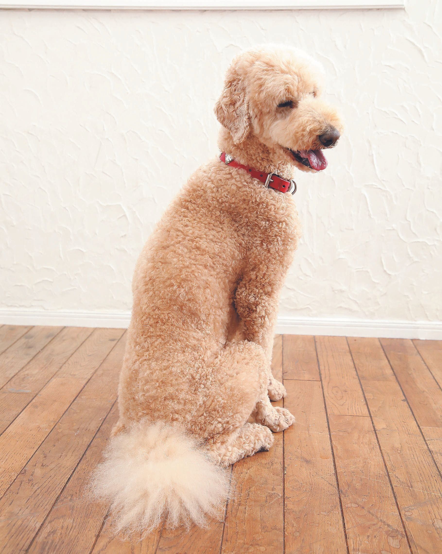 暴言、暴力はいらない！