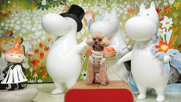 記念撮影をする犬