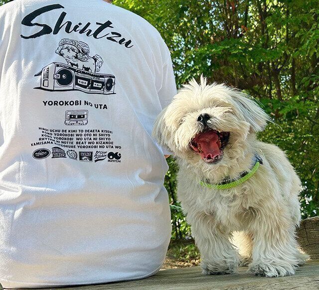 シーズー犬マンガてんぽshihtzu