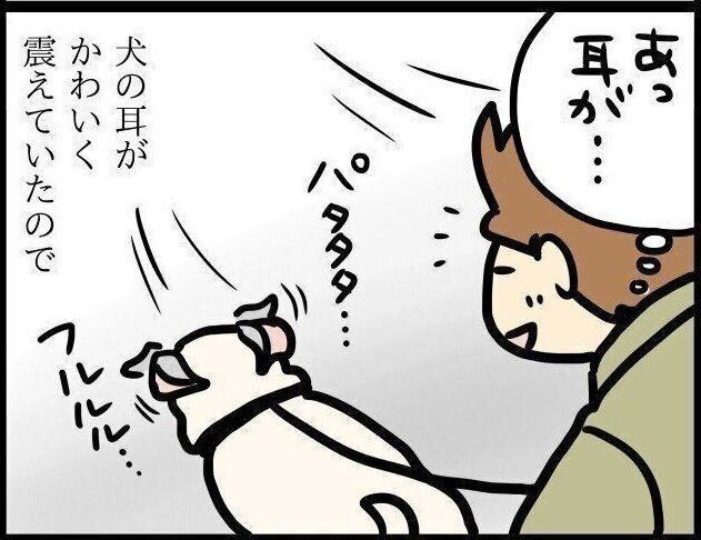 【連載】パグ犬めー vol.95