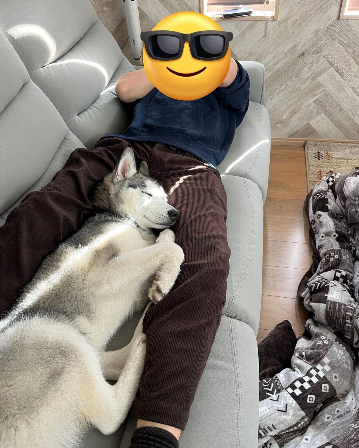 昼寝をするゆのくん