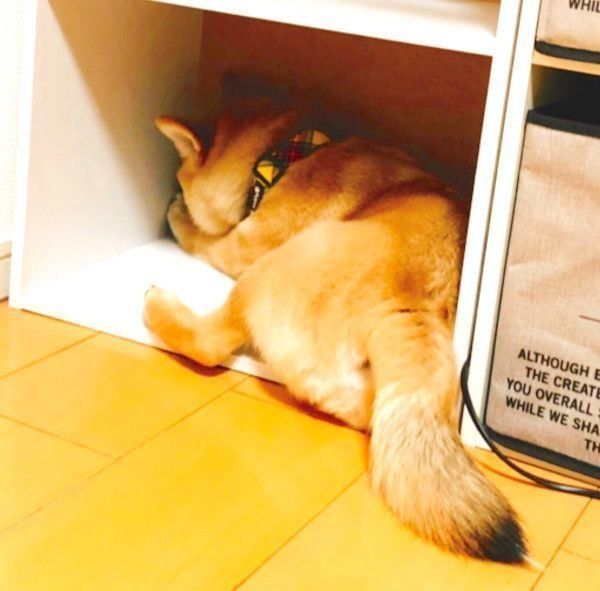 拗ねるタッちゃん