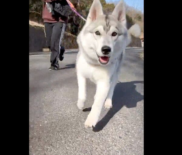 ダッシュするいちみちゃん