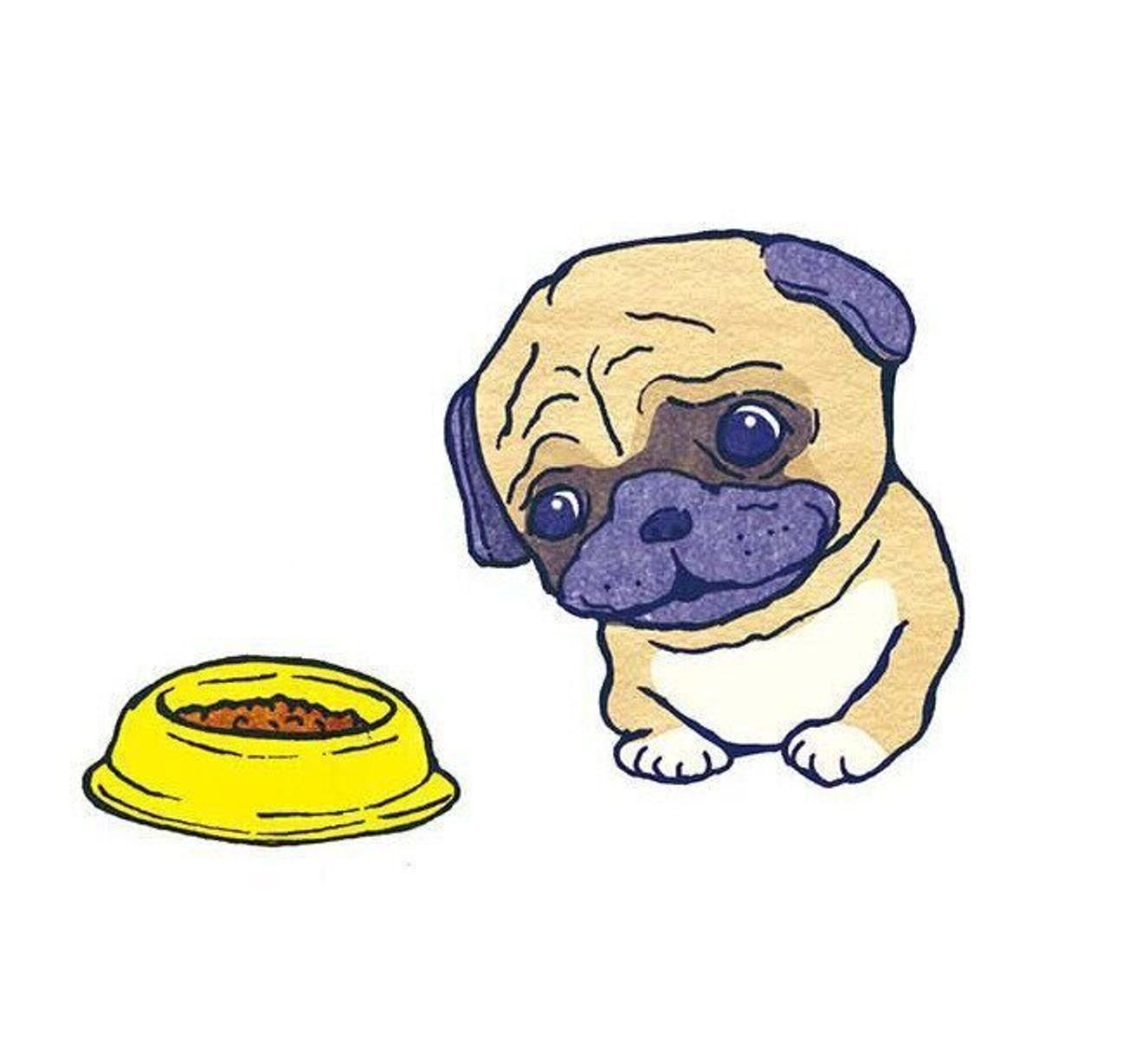 犬の免疫力低下 の4つの原因って 愛犬の体を整えるための習慣 いぬのきもちweb Magazine 犬の免疫力低下 の4つの原因って 愛犬の体を整えるための習慣 いぬのきもちweb Magazine