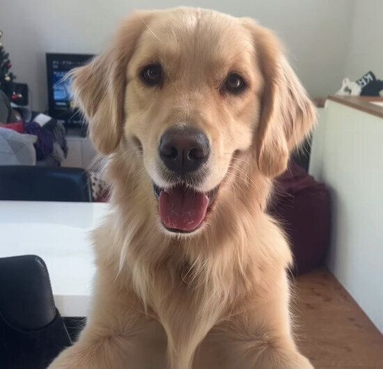 ニコニコ笑顔のエマちゃん