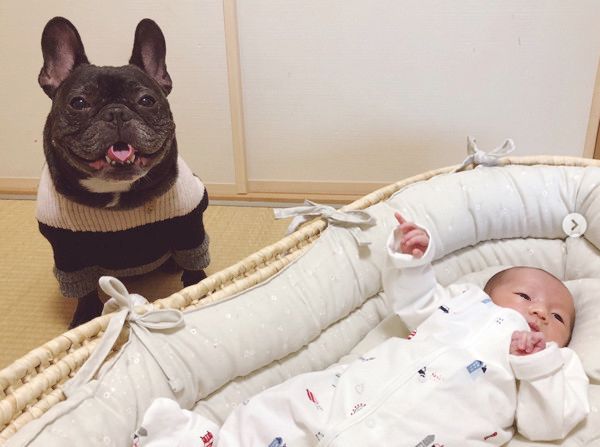 弟の面倒を見る犬