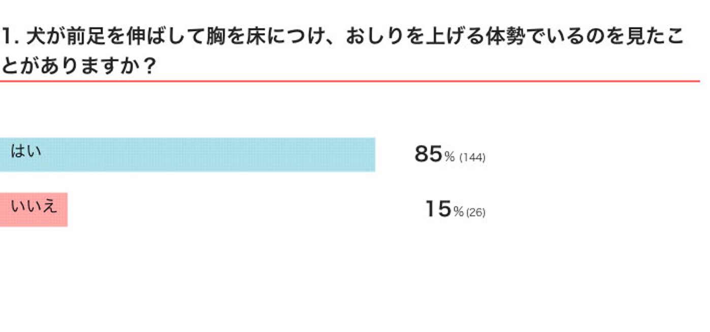 犬の特徴的な伸びのポーズからわかる心理 遊びたいサインのこともあれば 痛みのサインのことも 獣医師解説 いぬのきもちweb Magazine 犬の特徴的な伸びのポーズからわかる心理 遊びたいサインのこともあれば 痛みのサインのことも 獣医師解説 いぬのきもちweb Magazine