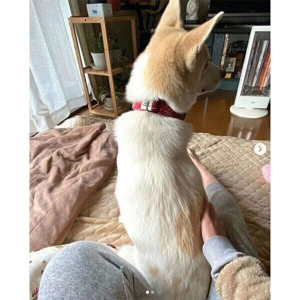 ナデナデが大好きなタクローくん