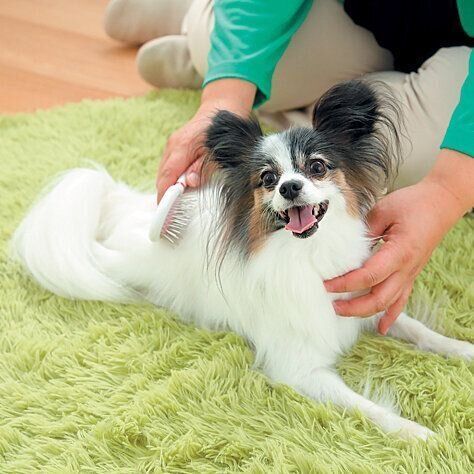 ぬくもりが伝わる