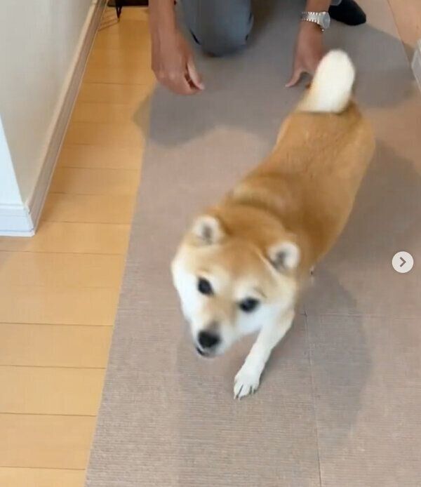 逃げるすずちゃん