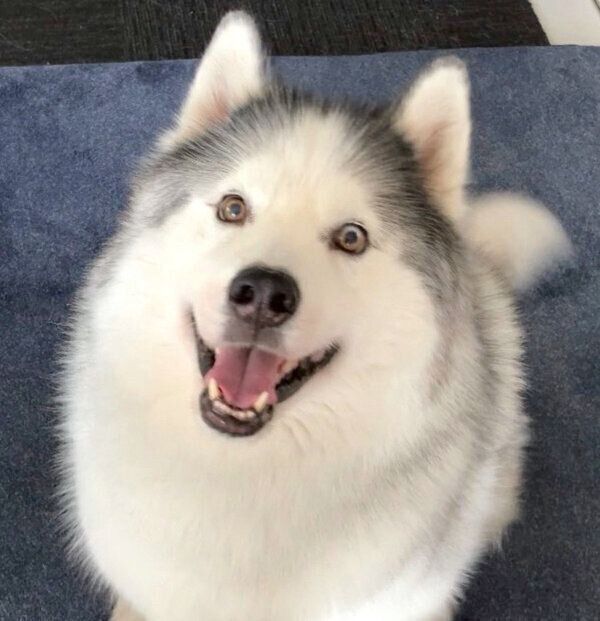 笑顔のフィスくん