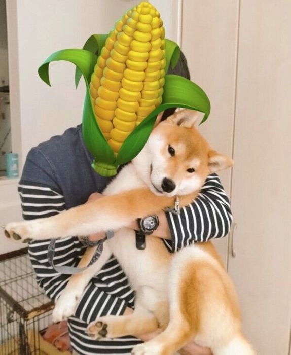 パパさんに抱っこされるおこげくん