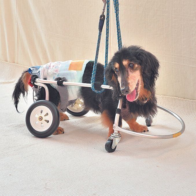 撮影／佐藤正之