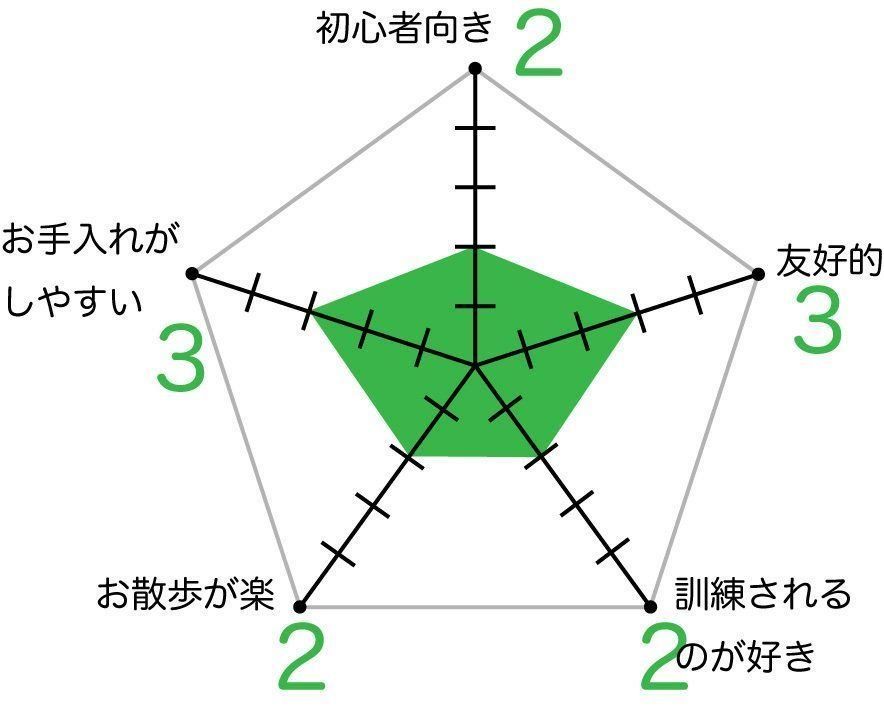 プチ バセット グリフォン バンデーンの特徴と性格 飼い方 価格相場など 犬図鑑 いぬのきもちweb Magazine