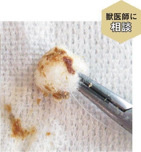 ベタベタとした耳アカ