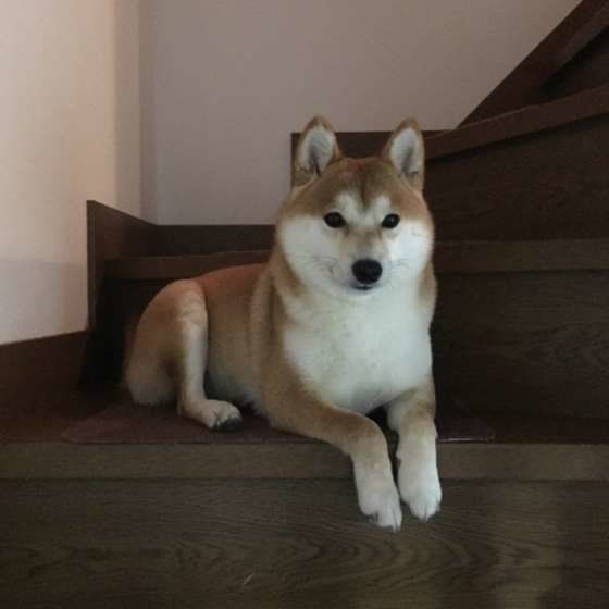 みんなを待ってる菜々ちゃん