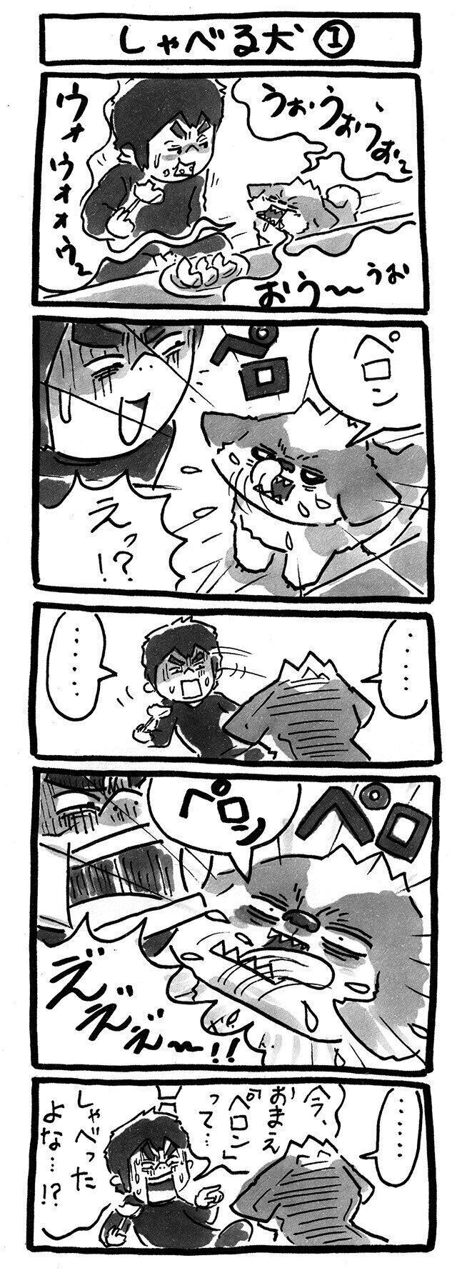 連載「シーズー犬のてんぽ」