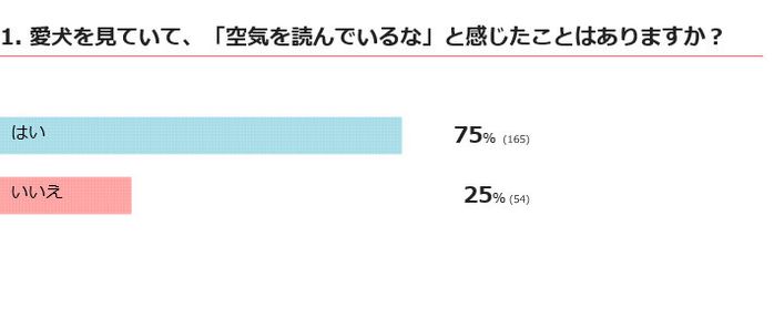 愛犬が空気を読んでいると感じたことはある?