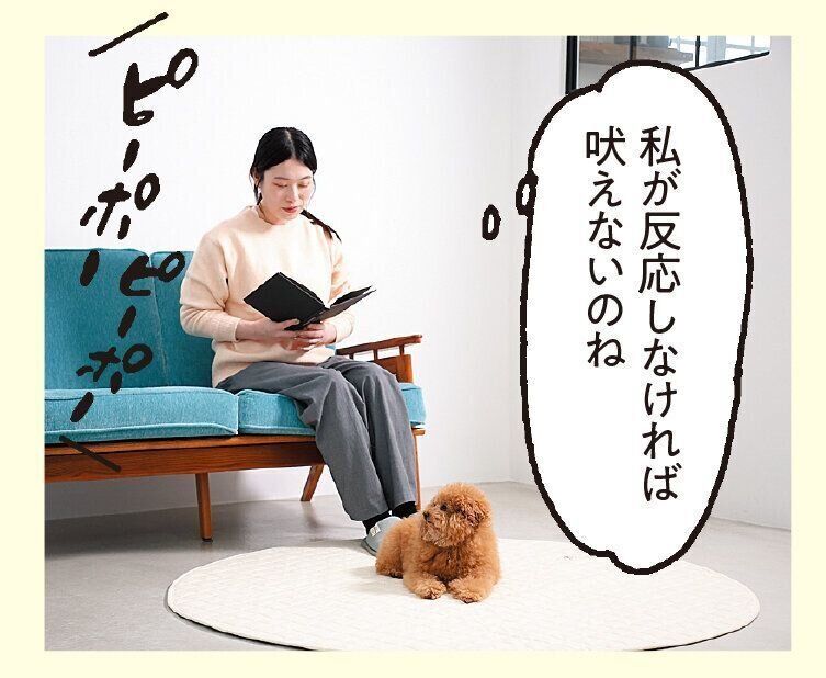 撮影／尾﨑たまき