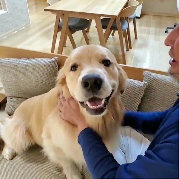 笑顔のアランくん