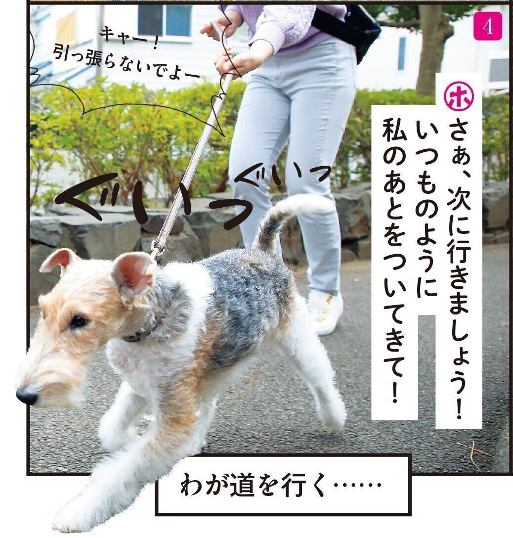 撮影／尾﨑たまき