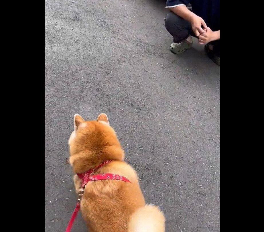 スルーするまるちゃん