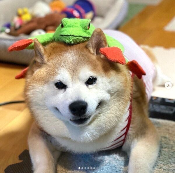 口角を上げて微笑むポン太くん