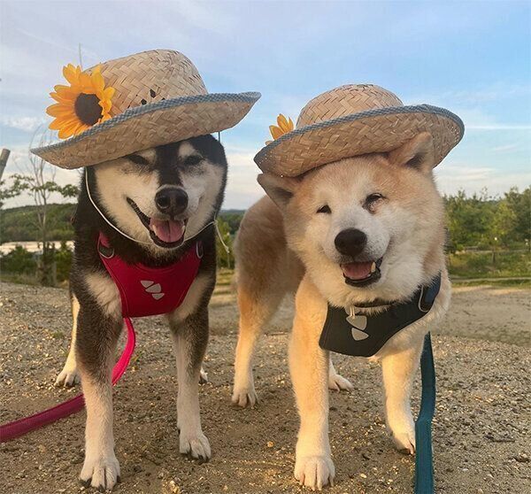 ララちゃん、くうちゃん