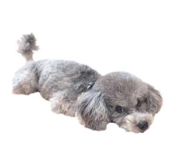 撮影／尾﨑たまき