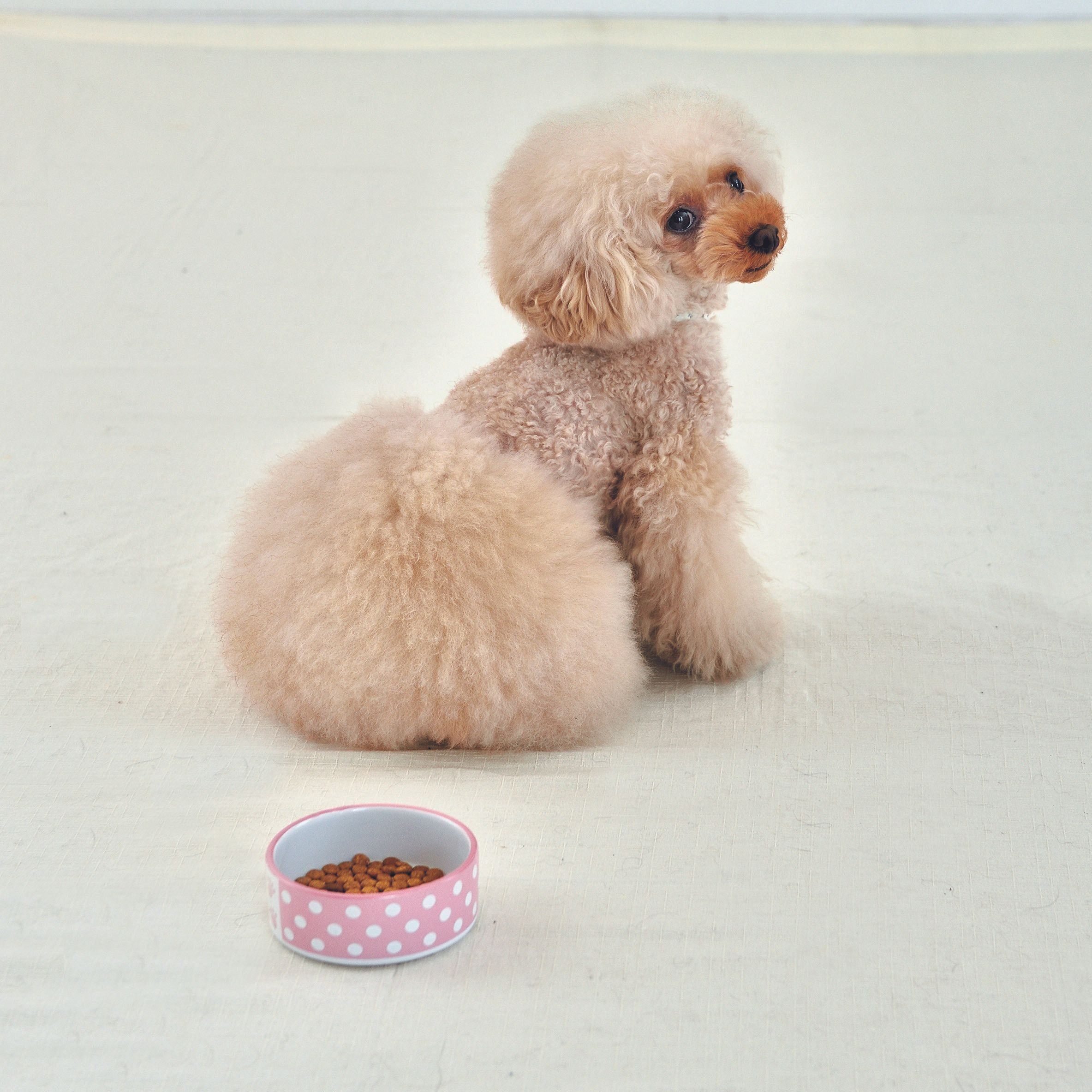 撮影／佐藤正之