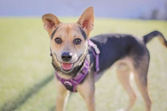 ニコニコ笑顔を見せるこのちゃん