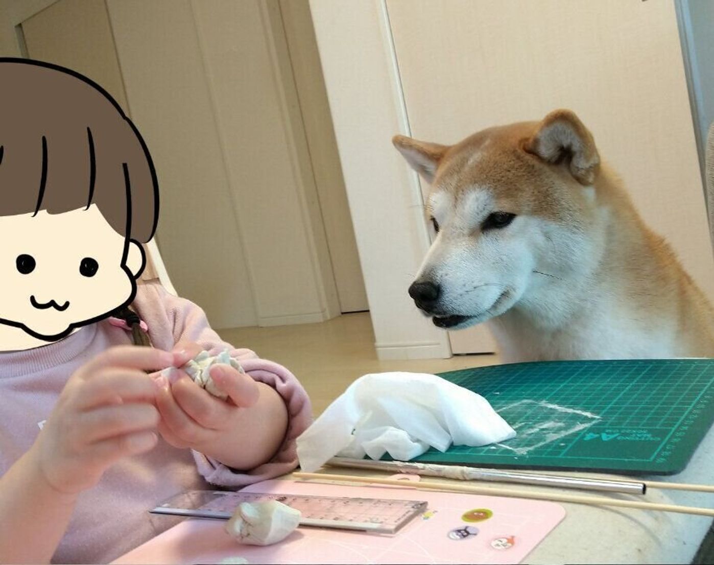 タロさんの足形がほしい なかなか踏まないタロさんに奮闘する娘 連載 モフモフ柴とプニプニ娘 第110話 いぬのきもちweb Magazine タロさんの足形がほしい なかなか踏まないタロさんに奮闘する娘 連載 モフモフ柴とプニプニ娘 第110話 いぬのきもちweb Magazine